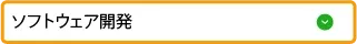 ソフトウェア開発